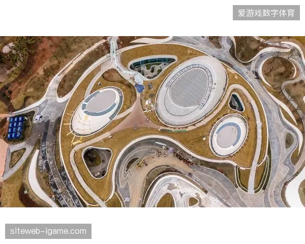 未来三年核心场馆将通过核销数据回传机制精准捕获赛场周边的消费链路